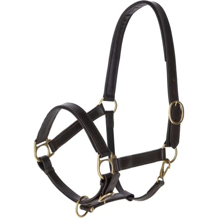 Leren halster voor paarden Kerbl Eco