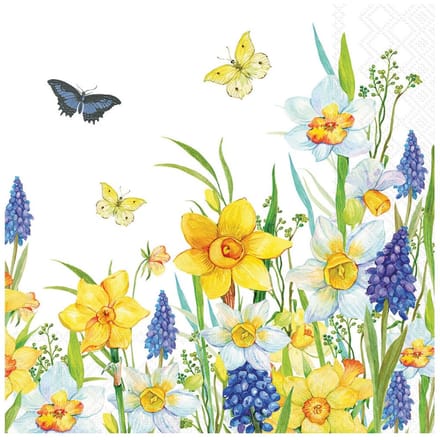 Servet "Narcis and Muscari"
