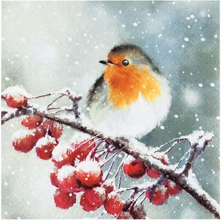 Servet "Hallo robin" - 20 stuks