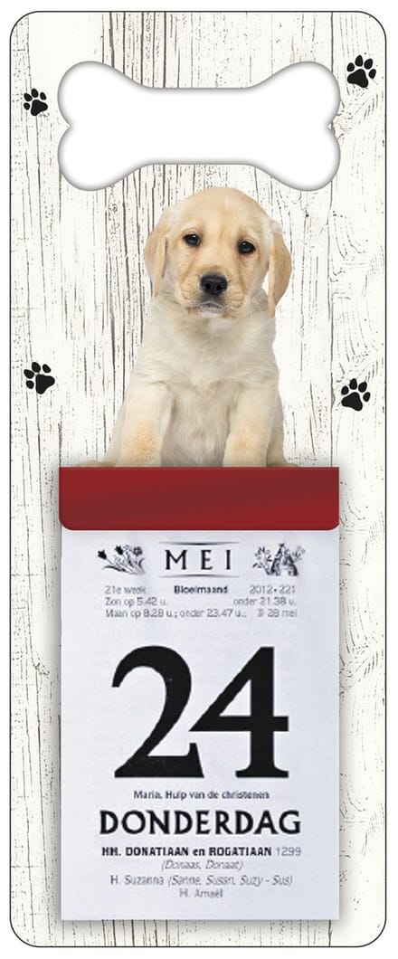 Scheurkalender 2027 Hond: Labrador Pup