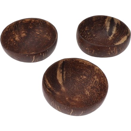 Kokosnoot Kom Set Lekvrij Herbruikbaar Handgepolijste Kokosnootschaal Kommen voor Rijst Dessert Salade L black