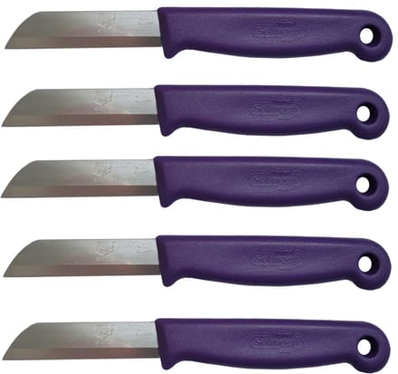 Solingen Schilmesje – RVS Glad – 16 cm met Blade Cover – Paars – 5 Stuks
