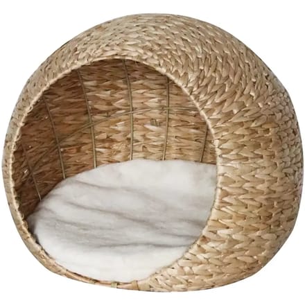 Kattenopvang Nobby Pet Lasa