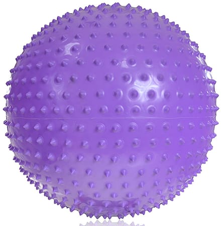 PROfit Bal gimnastyczna met Massage 55cm Paars