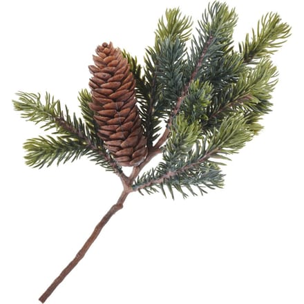 Dennentak met één kegel, L 24 cm
