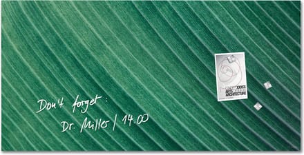 Sigel glasmagneetbord Artverum 91x46cm groen Palm Leaf