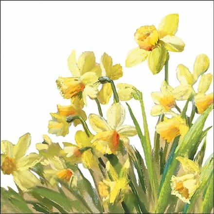 Ambiente - Lunch servetten - Golden Daffodils
