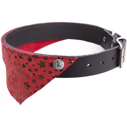Hondenhalsband Martin Sellier Miami