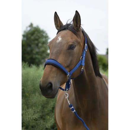 Halster en touwset voor grote paarden Norton