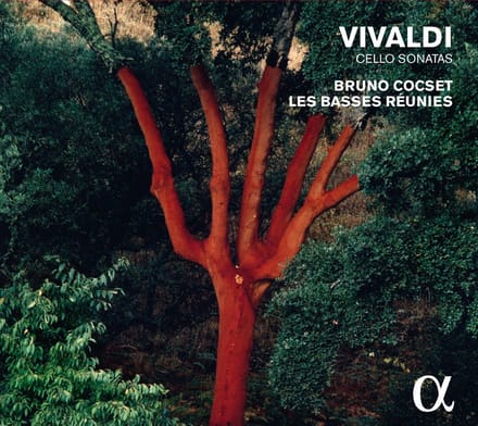 Bruno Cocset & Les Basses Reunies - Cello Sonatas (CD)