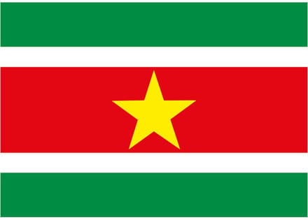 Vlag van Suriname stickers - 7.5 x 10 cm - Binnen/buiten - voor supporters