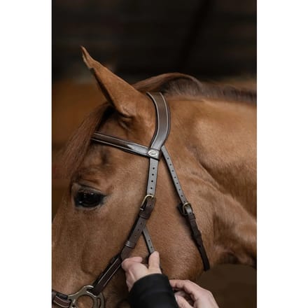 Anatomisch hoofdstel HFI Hackamore