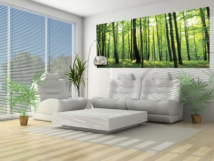 Forest Trees GreenNature Photo Wallcovering