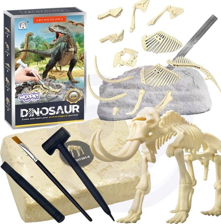 Woopie Dinosaurus opgraaf set - Dinosaurus uitgraafset - Archeologie speelgoed- Dino - Prehistorie