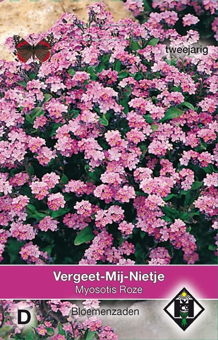2 stuks Myosotis sylvatica RozeVan Hemert & Co