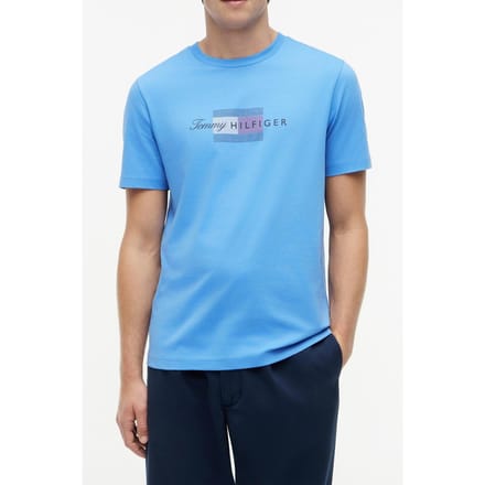 Tommy Hilfiger Script Flag Regular Tee Blue Spell Größe: M | Bedruckte T-Shirts Outlet | Herren | Blau