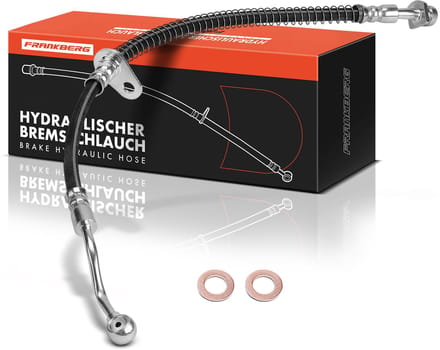 Frankberg 1x remslang voor links voor KIA Picanto TA 2011-2020