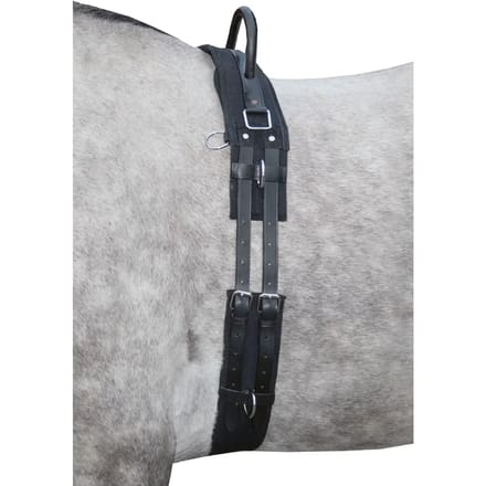 Surfaix voor paard met handvat HKM
