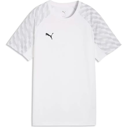 Damestrui Puma Liga26