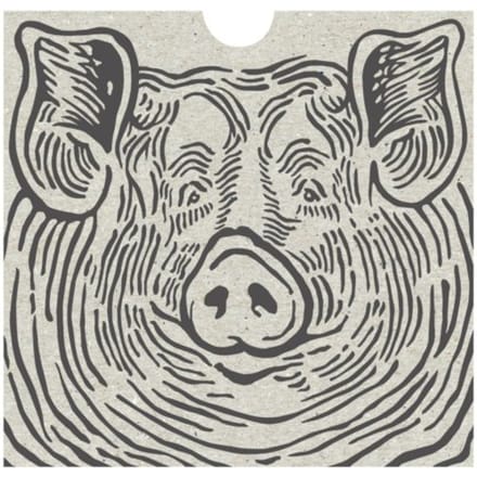 Dierenrijk - Rinske Kegel