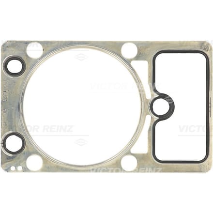 Pakking, cilinderkop REINZ 61-36485-10
