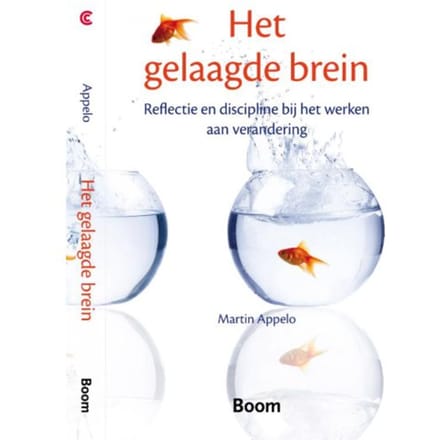 Het Gelaagde Brein - Martin Appelo