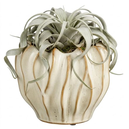 Mica Decorations Planten / bloempot Thom - creme kleur - keramiek - 25 x 31 cm