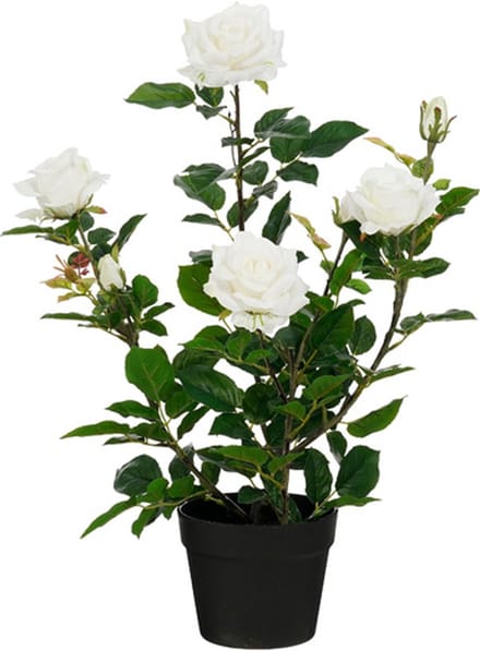 Mica Decorations - Roos in pot - Kunstplant = 45 x 35 x 62 cm - Creme