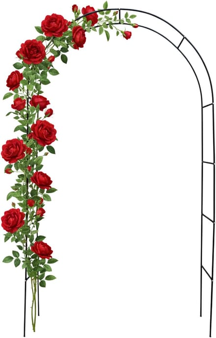rozenboog - 200x120x25 cm - zwart - staal - met grondpennen