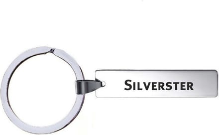 Sleutelhanger Met Naam - Silvester - RVS