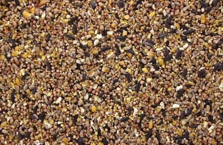 Strooivoer - 4 kilo - voor buitenvogels