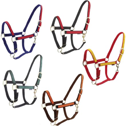 Dubbel nylon halster Daslö Roma