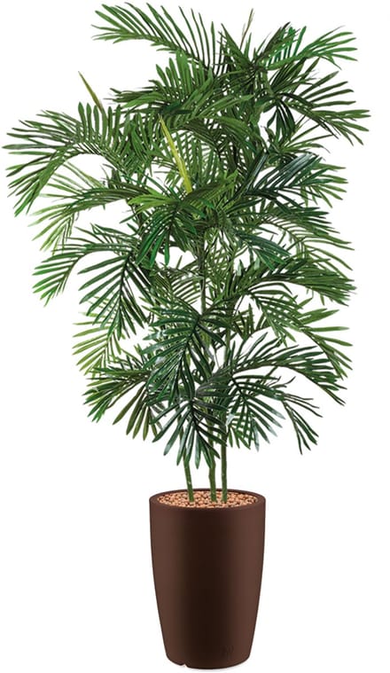 HTT - Kunstplant Areca palm in Genesis rond bruin H190 cm