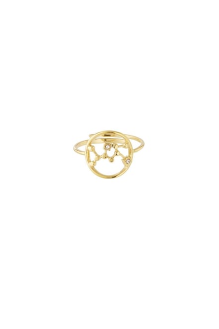 12 zodiac-ringen - Goudkleur