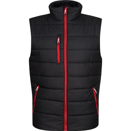 Regatta Thermische bodywarmer Navigate voor heren (Zwart/Klassiek Rood)