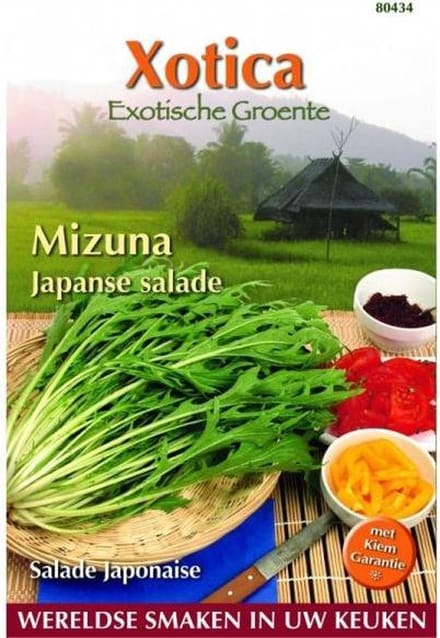 Buzzy® Xotica Mizuna