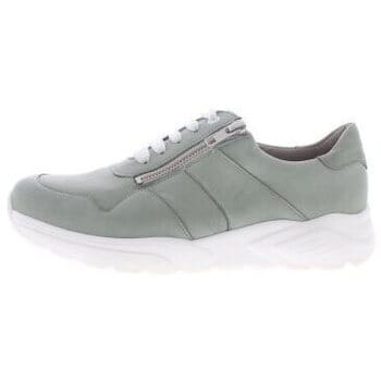 Lage Sneakers Solidus Kea K