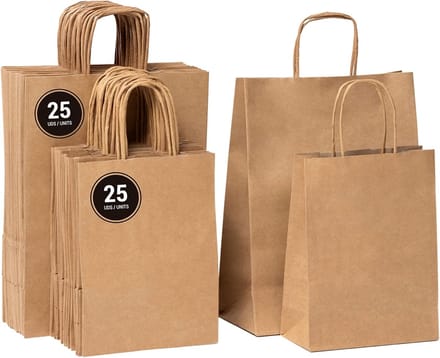 50 Kraft Papieren Zakken met Handvatten - 2 Maten (Groot & Klein)
