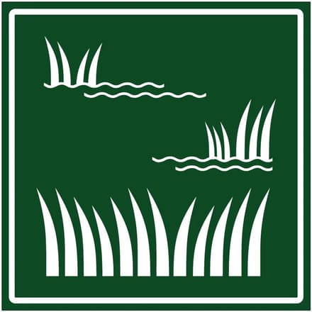 Wetlands sticker | 10 x 10 cm