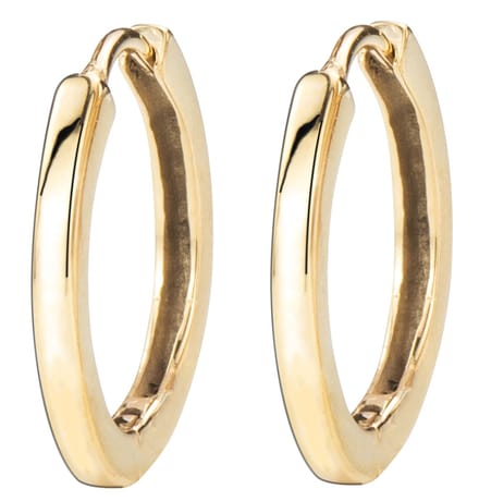 Traveller Oorringen - Dames - Goudkleurig - Edelstaal - Ringen 16 mm - Verguld - 166311