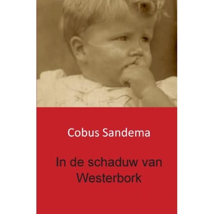 In De Schaduw Van Westerbork - Cobus Sandema
