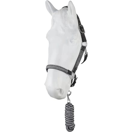 Halster en touwset voor paarden Horze Chicago
