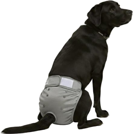 Loopsheidbroekje Hond - XL - Hondenluier - Grijs - Wasbaar