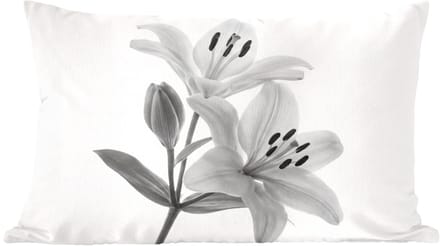 Sierkussens - Kussentjes Woonkamer - 60x40 cm - Lelies - Elegant - Zwart - Wit