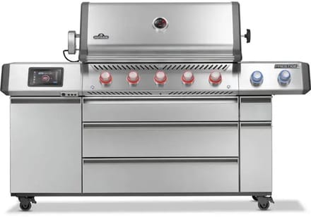 Napoleon Prestige Pro 665