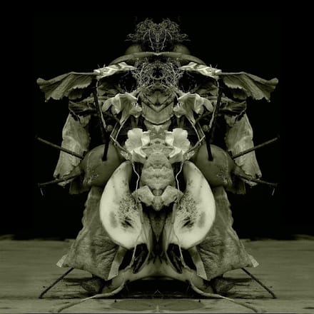Gurun Gurun - Uzu Oto (LP)