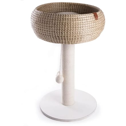 Kattenboom nest Martin Sellier