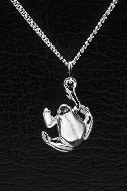 Zilveren Kikker ketting hanger