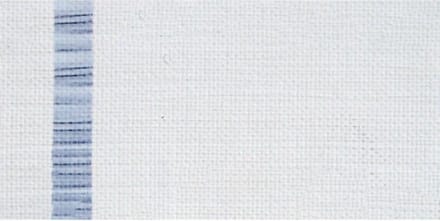 ARA Acrylverf 250 ML A2 Zinc White