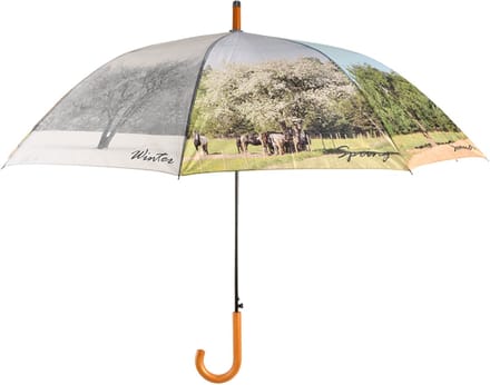 Paraplu 4-seizoenen winter spring summer en fall